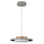 Modern Pendant Lights