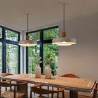Large Pendant Ceiling Lights