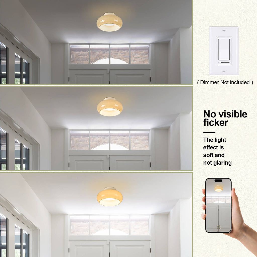 Modern LED Ceiling Light