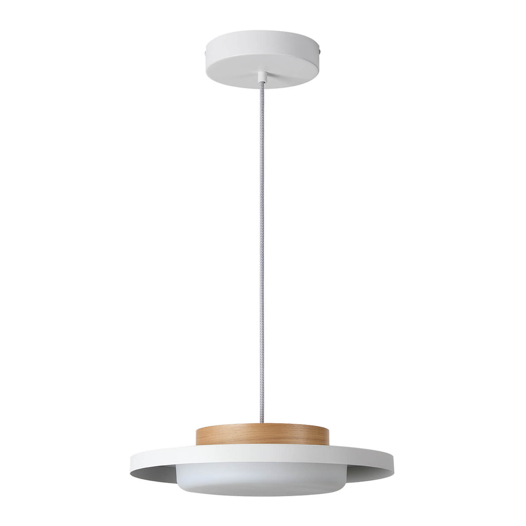 Modern Pendant Lights