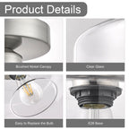 Brushed Nickel Ceiling Light Fixtures