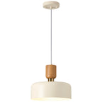 Simple Pendant Light Fixture