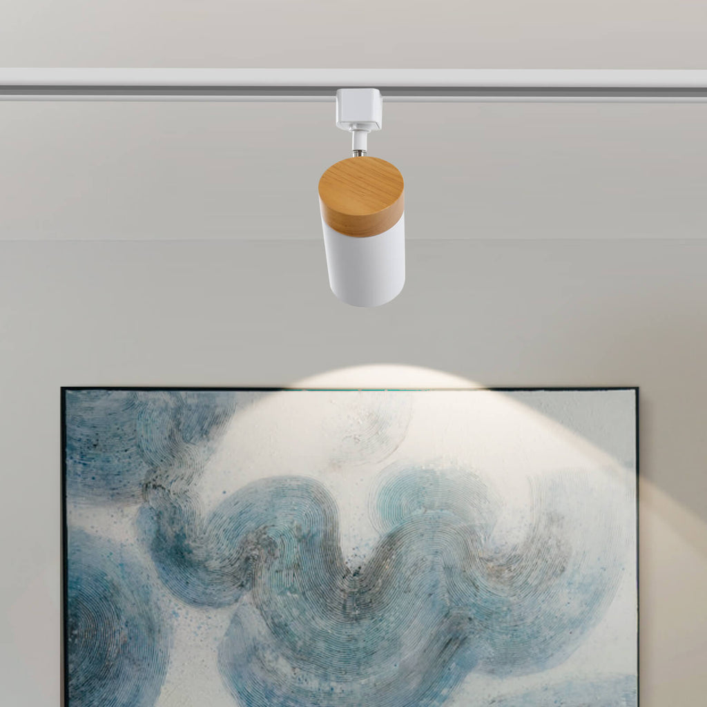 H Type 6 Track Lighting Heads