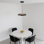 Modern Pendant Lights