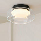 Dimmable Ceiling Light Fixture