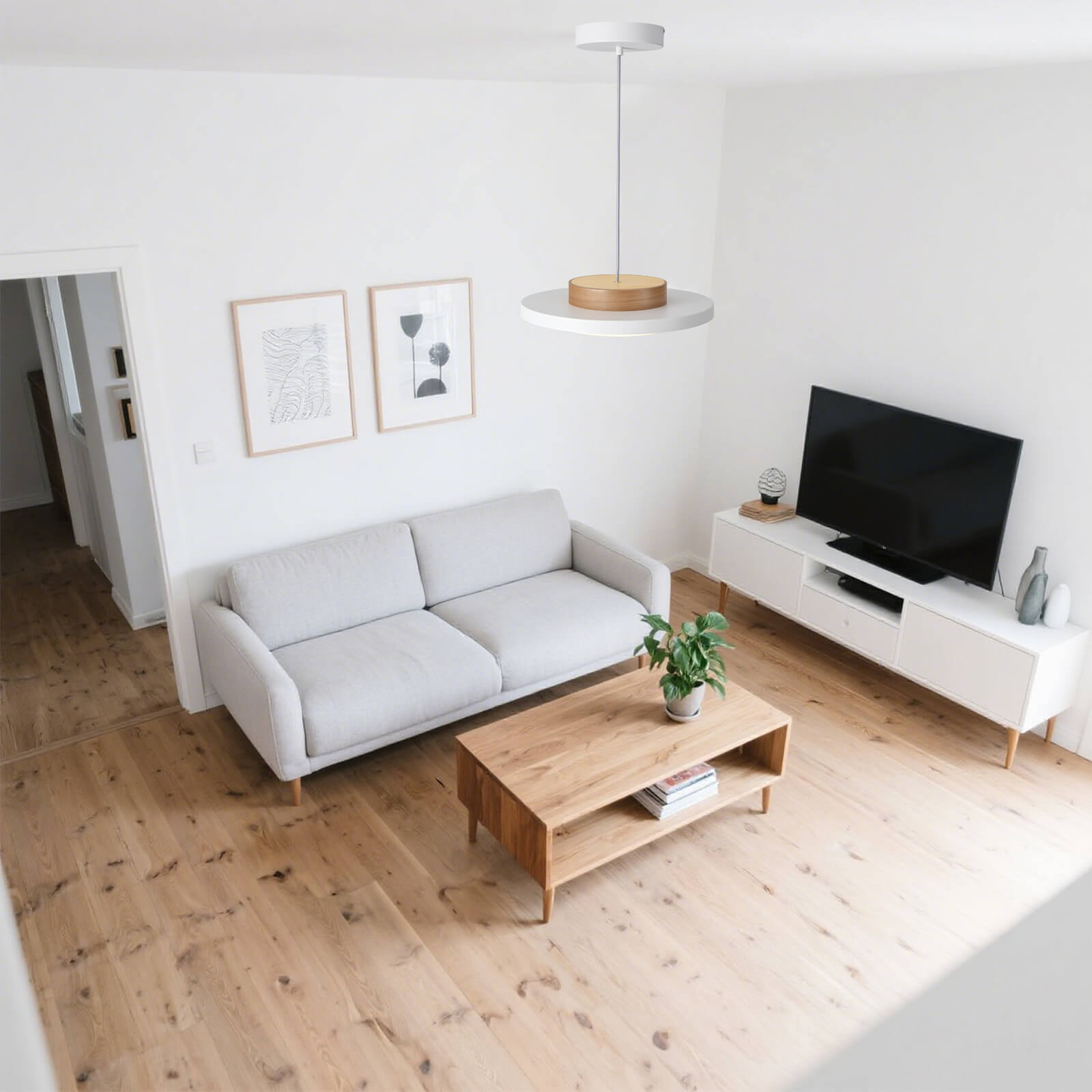 Modern Pendant Lights