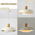 Large Pendant Ceiling Lights