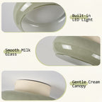 Modern LED Ceiling Light