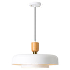 Large Pendant Ceiling Lights