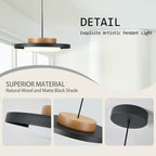 Modern Pendant Lights