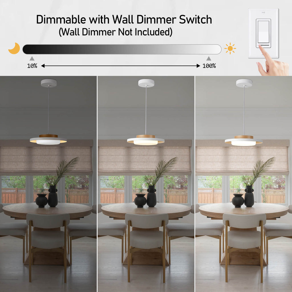 Modern Pendant Lights