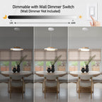 Modern Pendant Lights