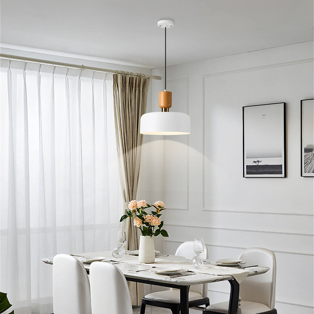 Simple Pendant Light Fixture