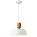 Simple Pendant Light Fixture