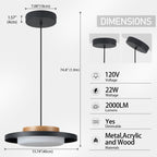 Modern Pendant Lights