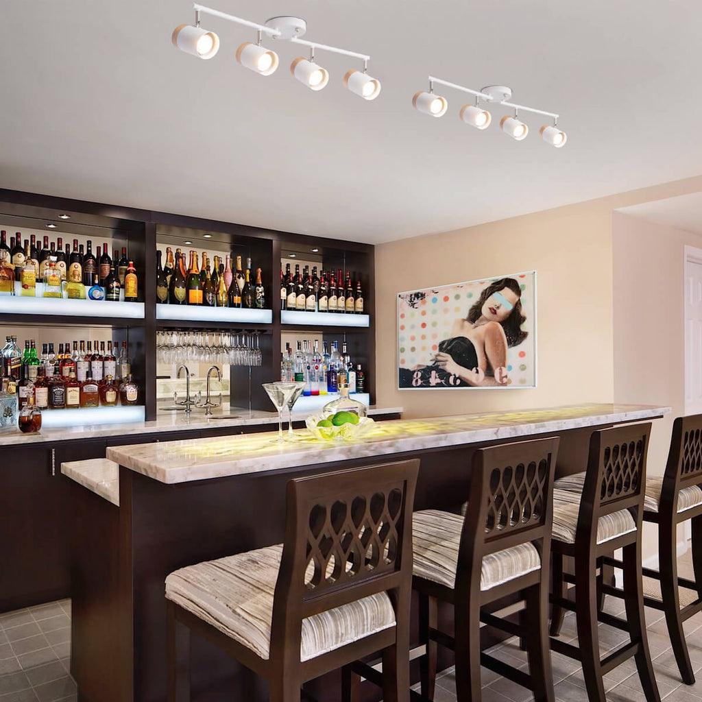 4-Light LED Track Lights