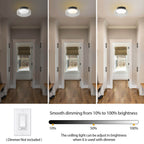 Dimmable Ceiling Light Fixture