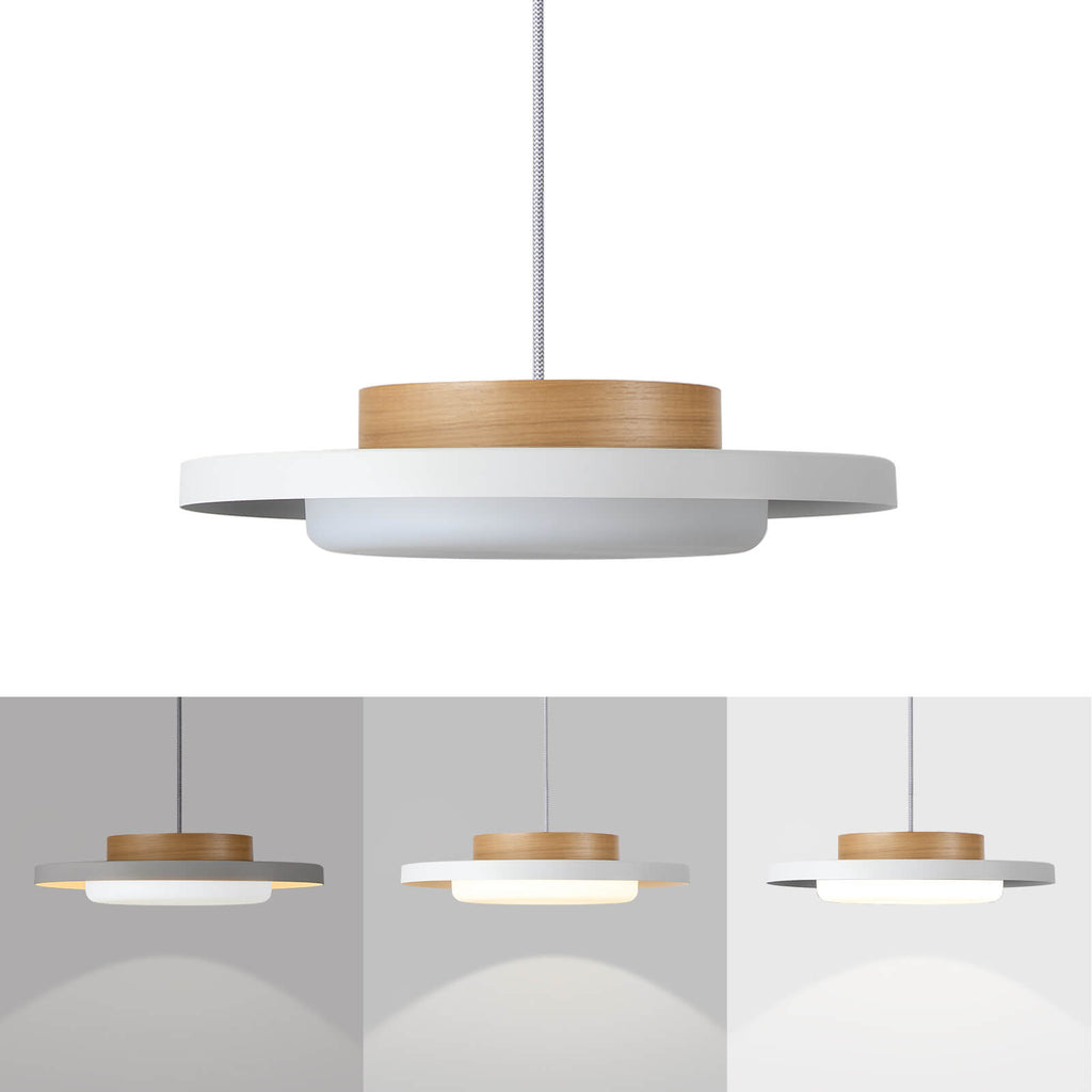 Modern Pendant Lights
