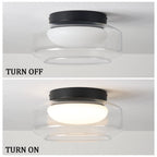 Dimmable Ceiling Light Fixture