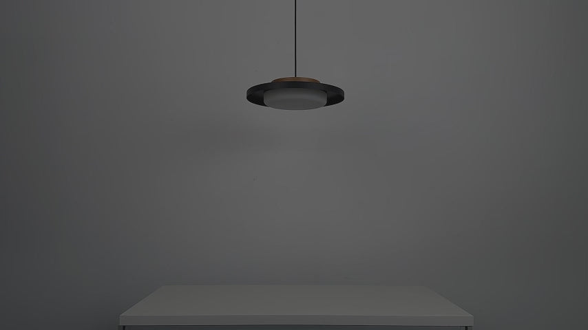 Modern Pendant Lights