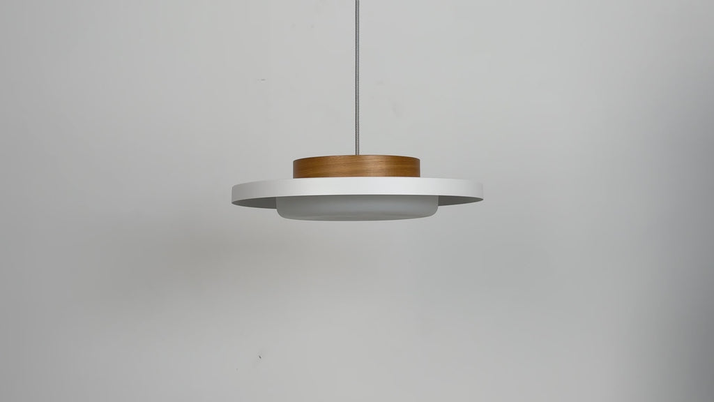 Modern Pendant Lights