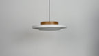 Modern Pendant Lights