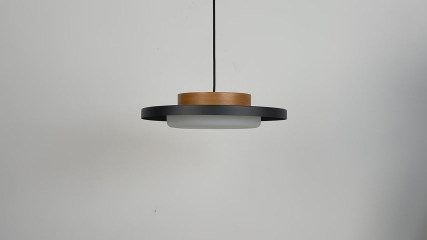 Modern Pendant Lights