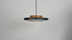 Modern Pendant Lights