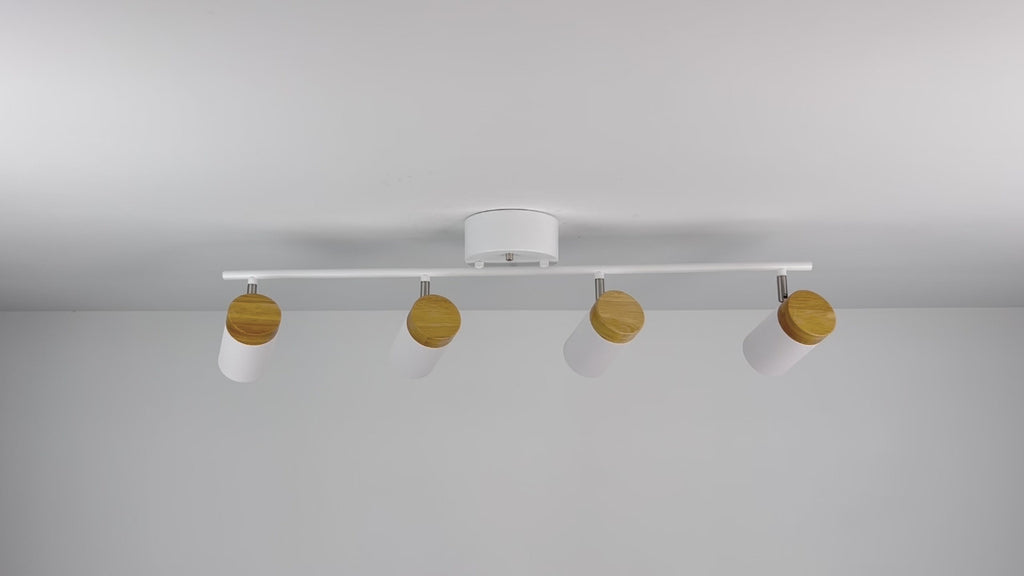 4-Light LED Track Lights