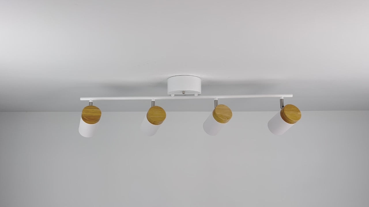 4-Light LED Track Lights