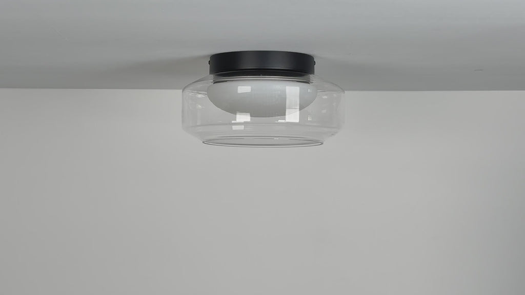 Dimmable Ceiling Light Fixture
